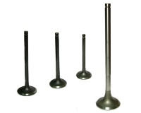 Engine valve